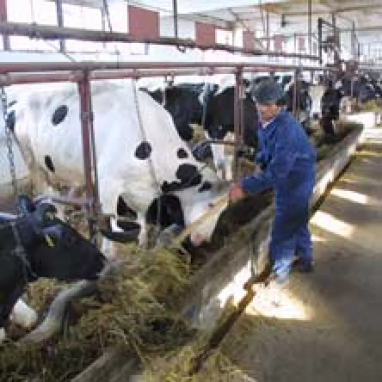 5.400 de solicitari pentru programul "Fermierul"