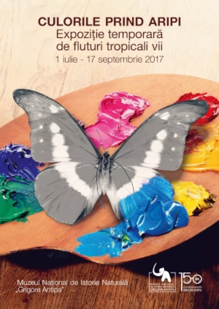 Culorile prind aripi la Muzeul National de Istorie Naturala Grigore Antipa