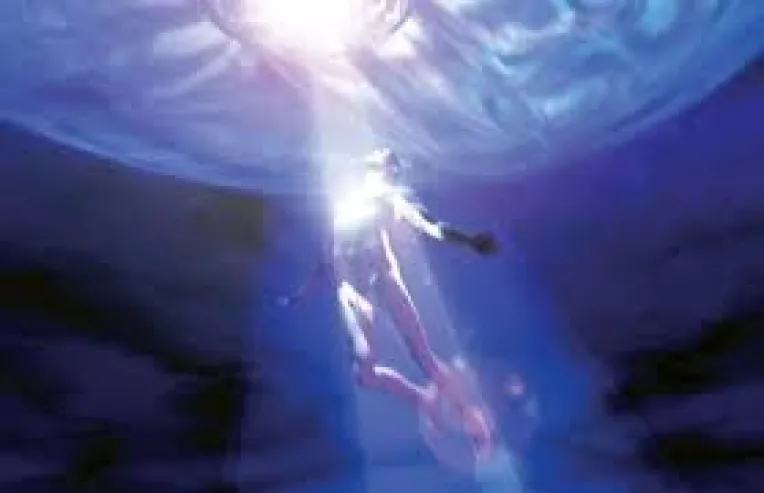 Extraterestrii exista si ei au evoluat in mod asemanator vietuitoarelor de pe Terra (3)