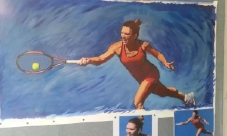 FENOMENUL SIMONA HALET