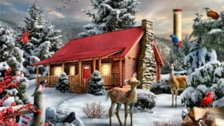 Iarna isi intra in drepturi, cu racire accentuata si precipitatii mixte - lapovita si ninsoare