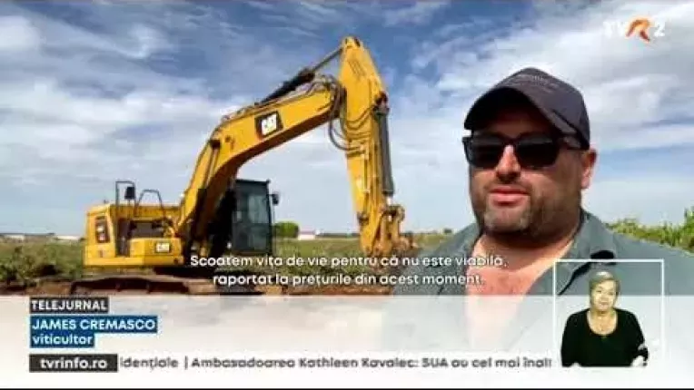 Milioane de butuci de vie, distrusi in Australia