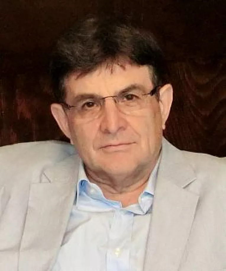 Octavian Stireanu:  Solutia este clara: suspendarea presedintelui Iohannis si desemnarea de catre presedintele interimar a unui premier de la PSD, altul decat Sevil Shhaideh