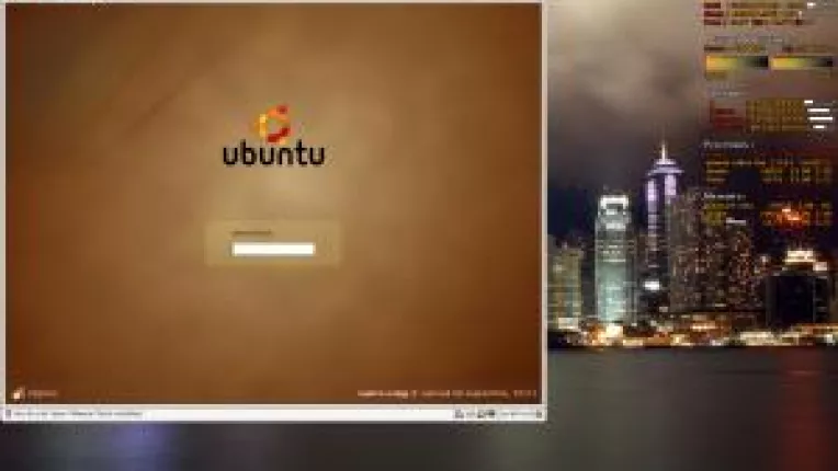 Vanzarile de servere Linux au crescut cu 42%