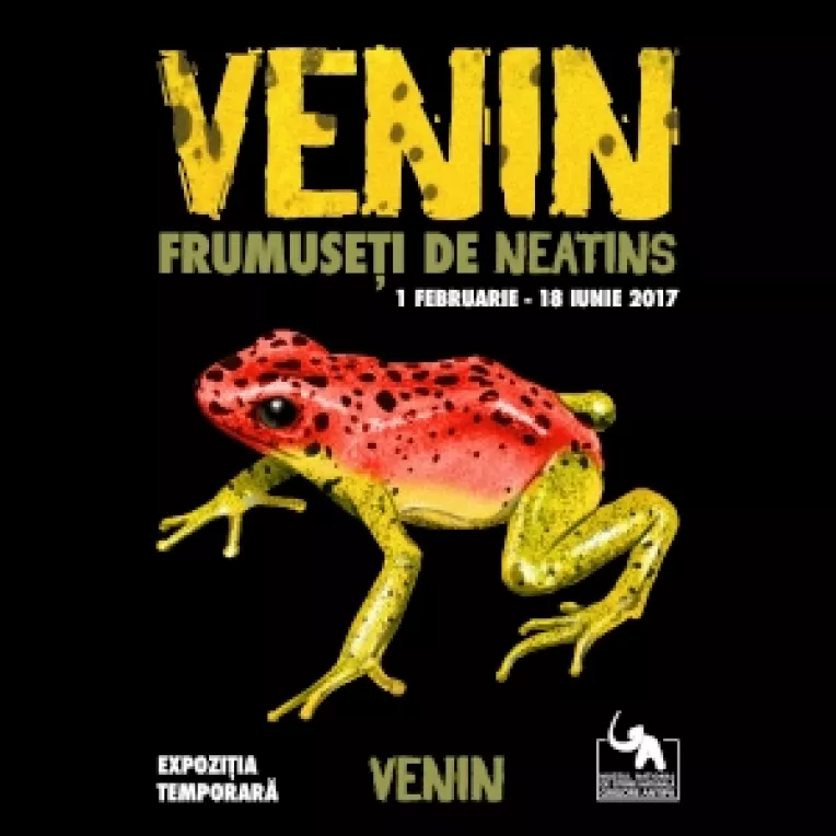 Venin - frumuseti de neatins